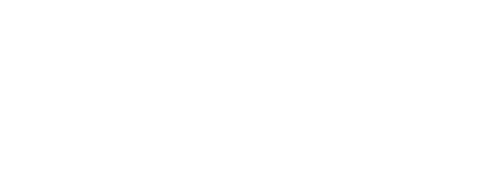 Roog Games Logo
